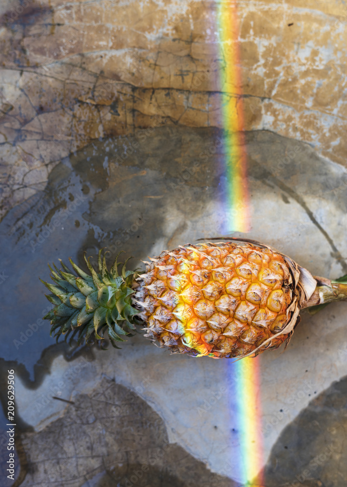 Pineapple with rainbow reflection light