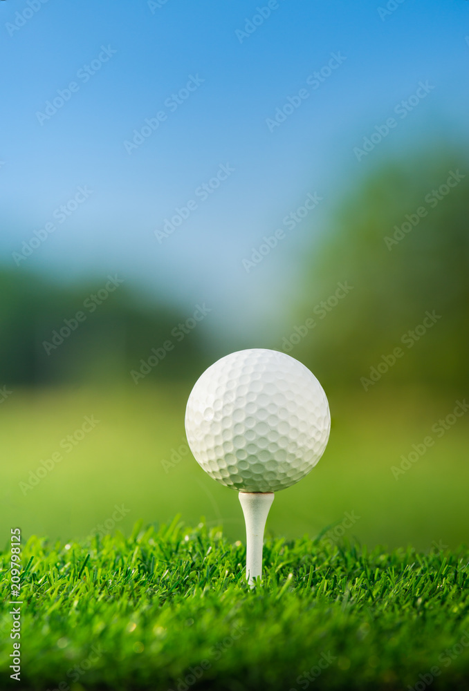 将高尔夫球放在球座上，准备在绿色背景下比赛