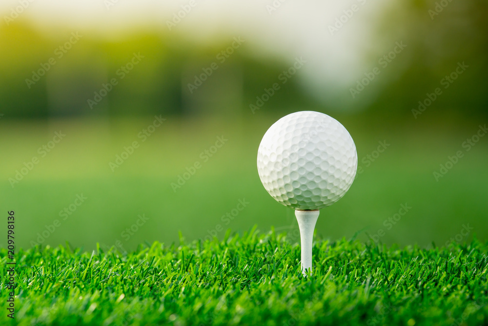 将高尔夫球放在发球台上，准备在绿色背景下比赛