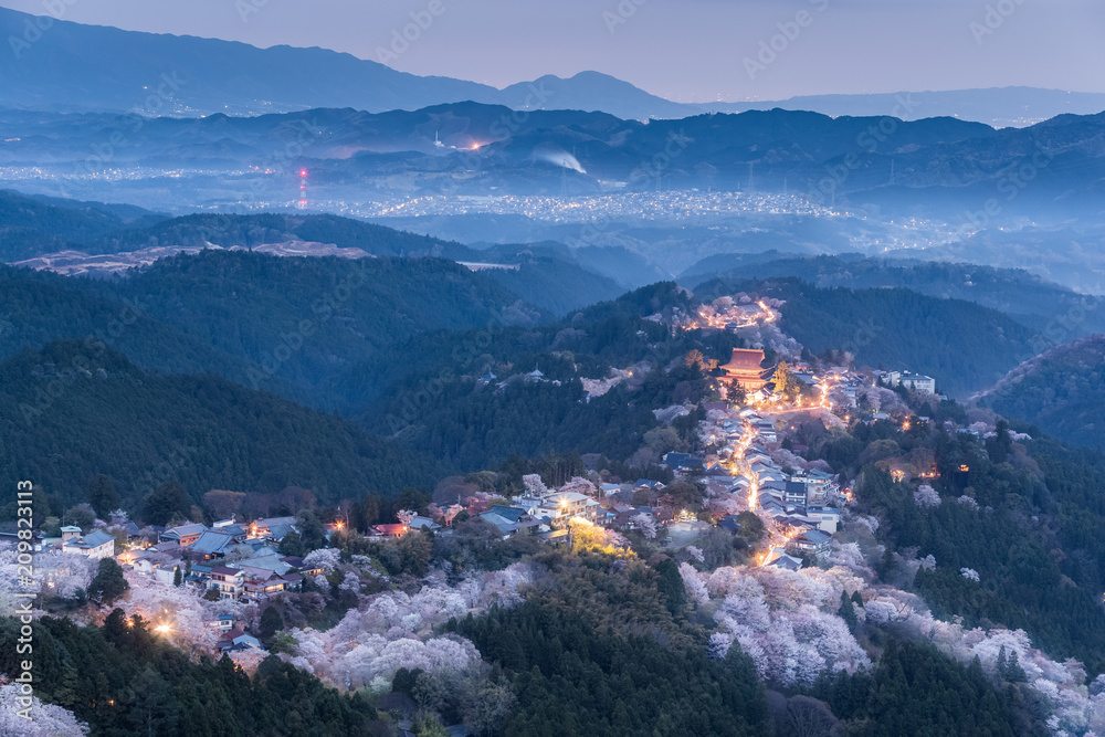 吉野山樱花开着光。奈良县的吉野山，日本最有名