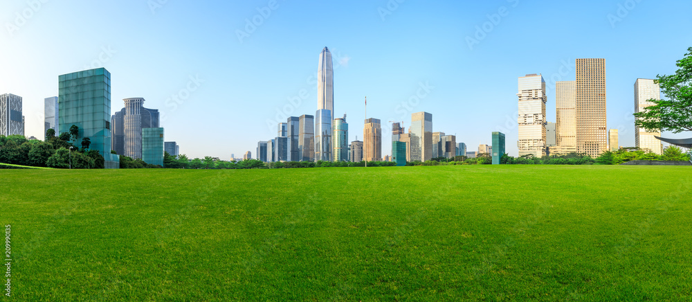 深圳的绿草和现代城市天际线风景