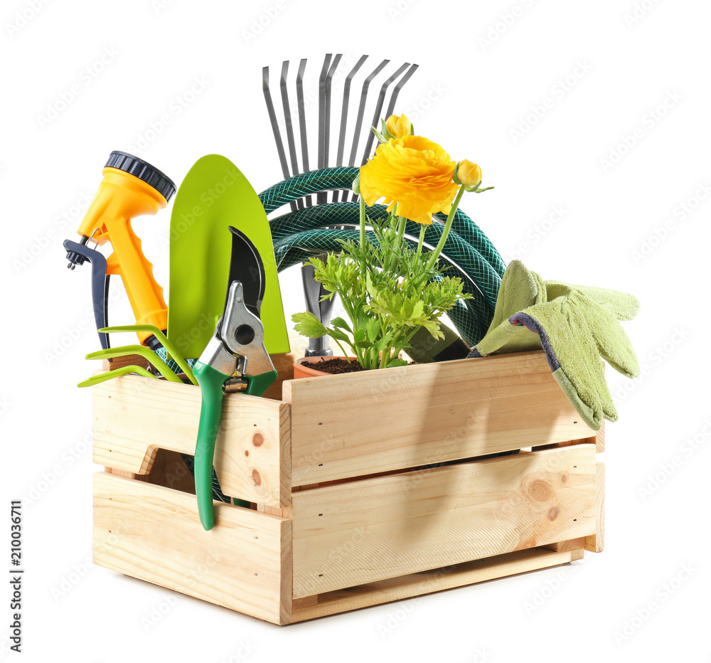 Wooden crate with gardening tools and plant on white background