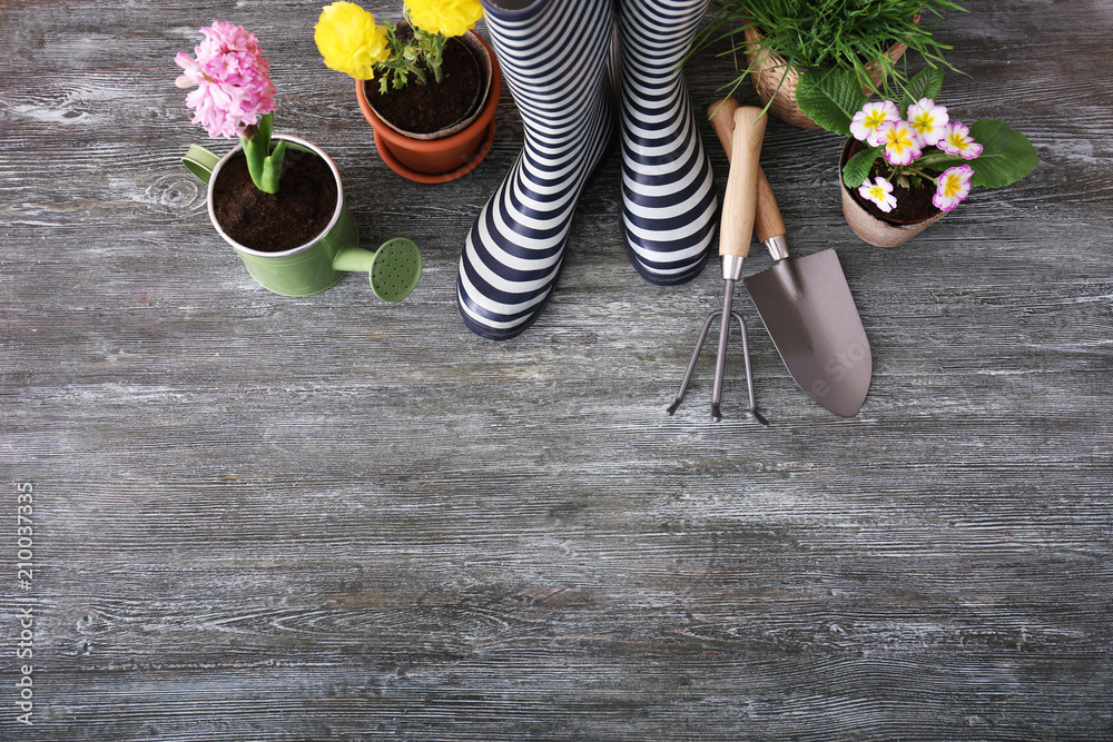 木制背景下的带秋葵靴和花盆植物的园艺工具