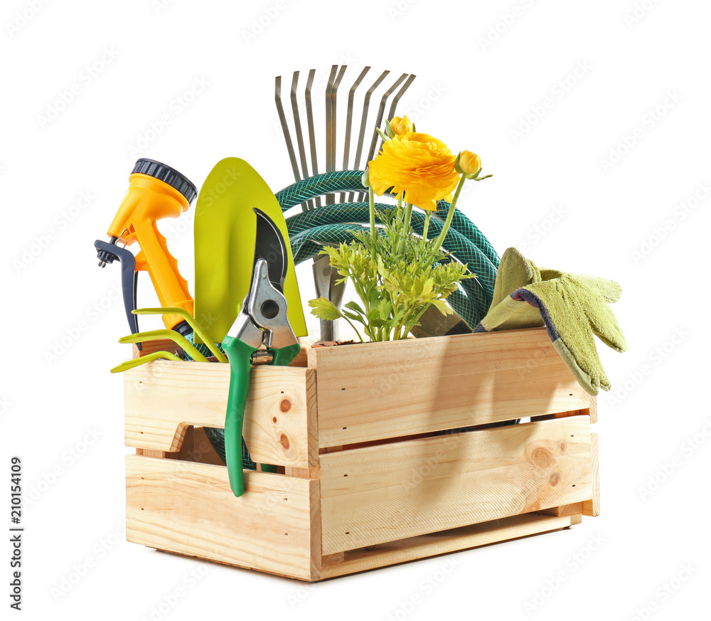 白色背景上有园艺工具和植物的木箱