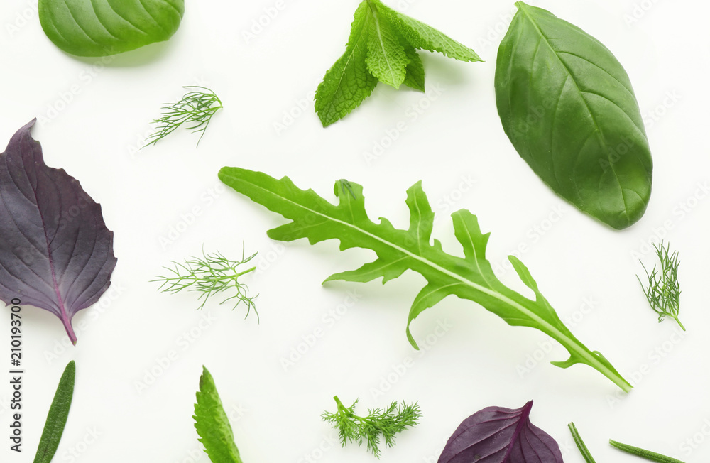 Composition with fresh herbs on white background