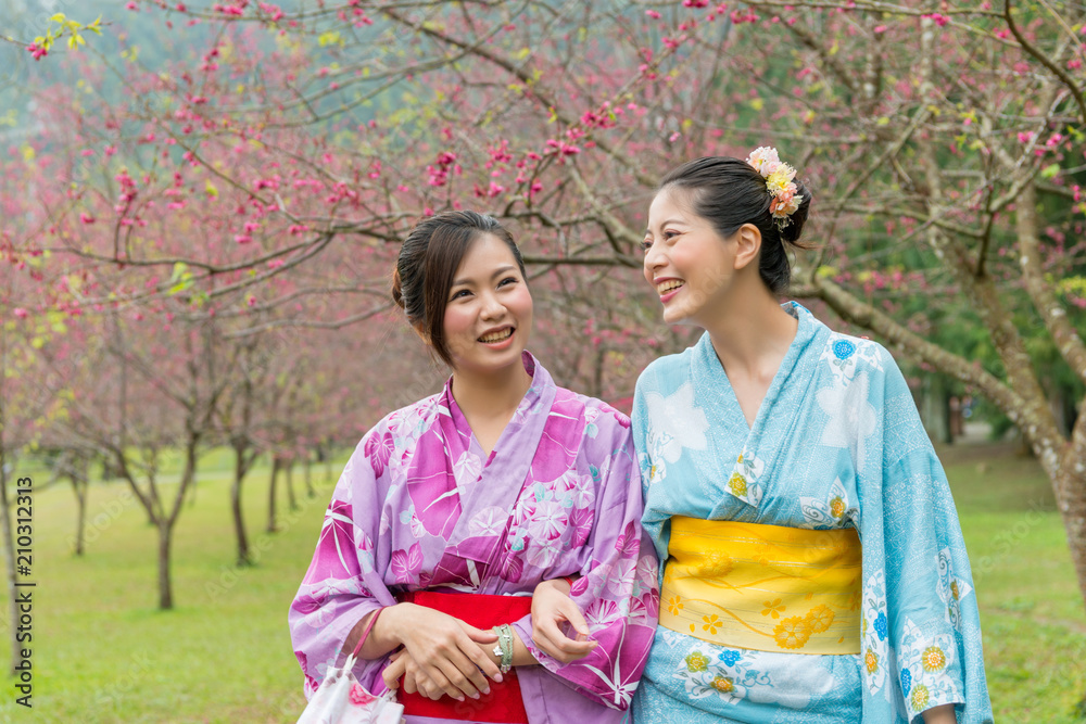 women chat together under the cherry blossom tree