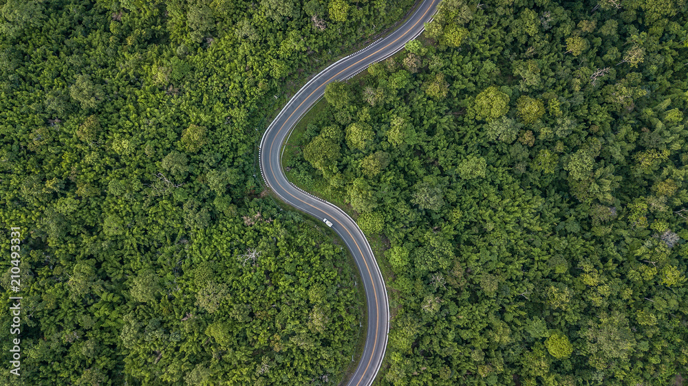 Aerial view of forest road at South East Asia, Aerial view of a provincial road passing through a fo