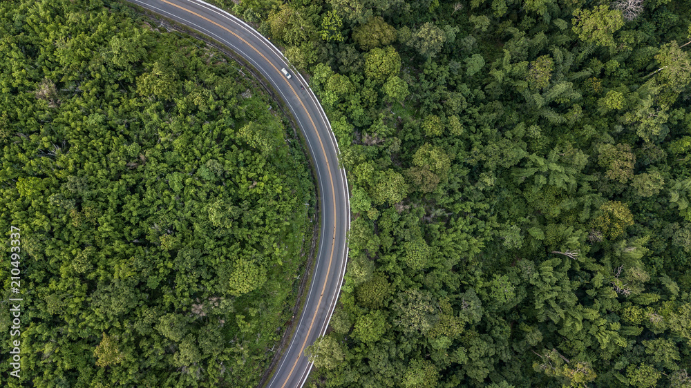 东南亚森林公路鸟瞰图，穿过森林的省道鸟瞰图