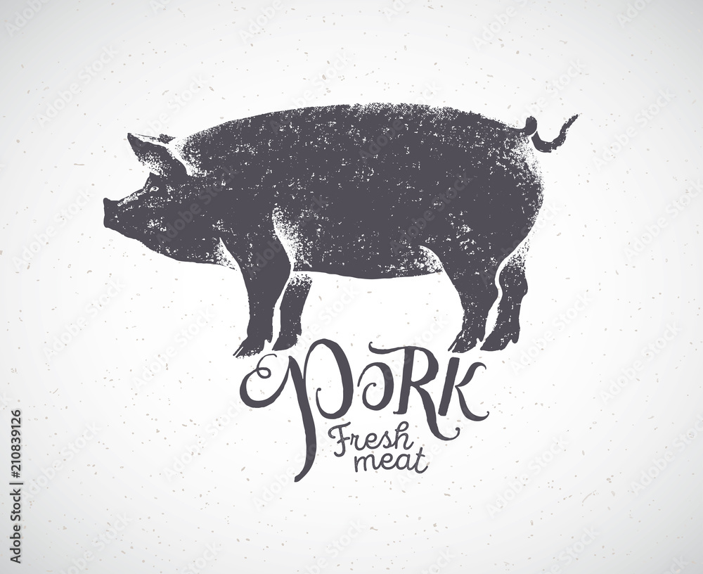 猪的轮廓样式，猪肉标签是手绘的。