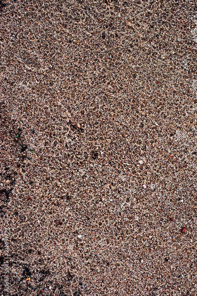 沙子和鹅卵石。沙子和石头的自然纹理。沙子上的小植物。