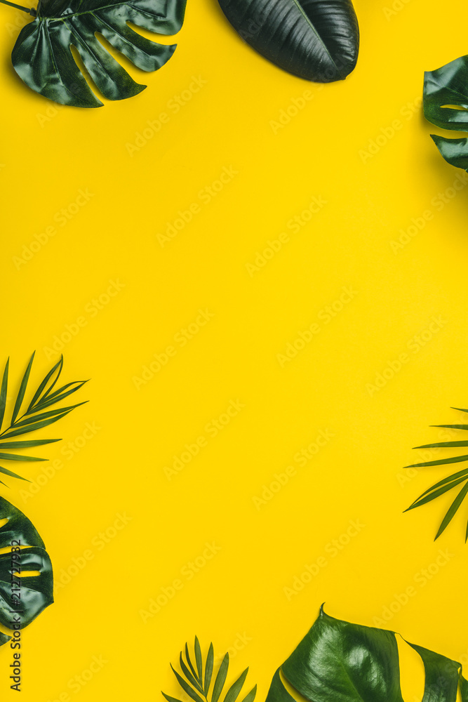 黄色背景下的热带树叶