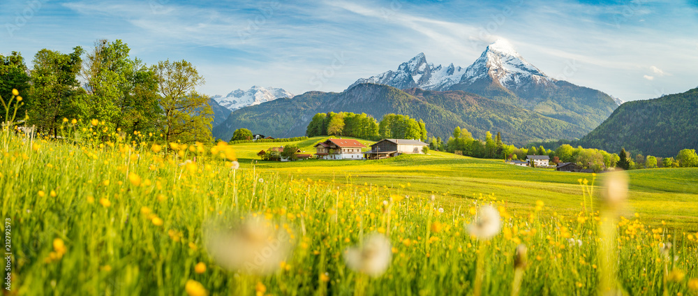 阿尔卑斯山的田园风光，春天的草地盛开