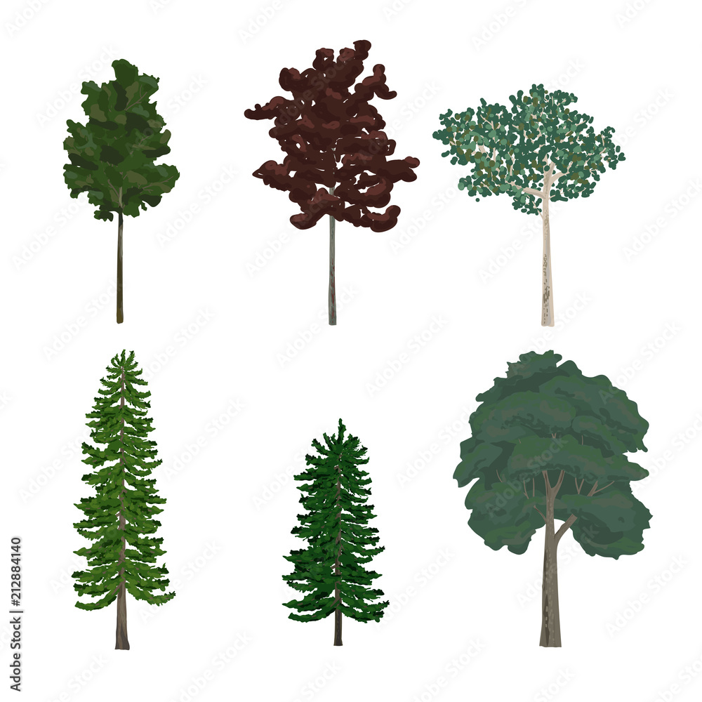 各种树木插图