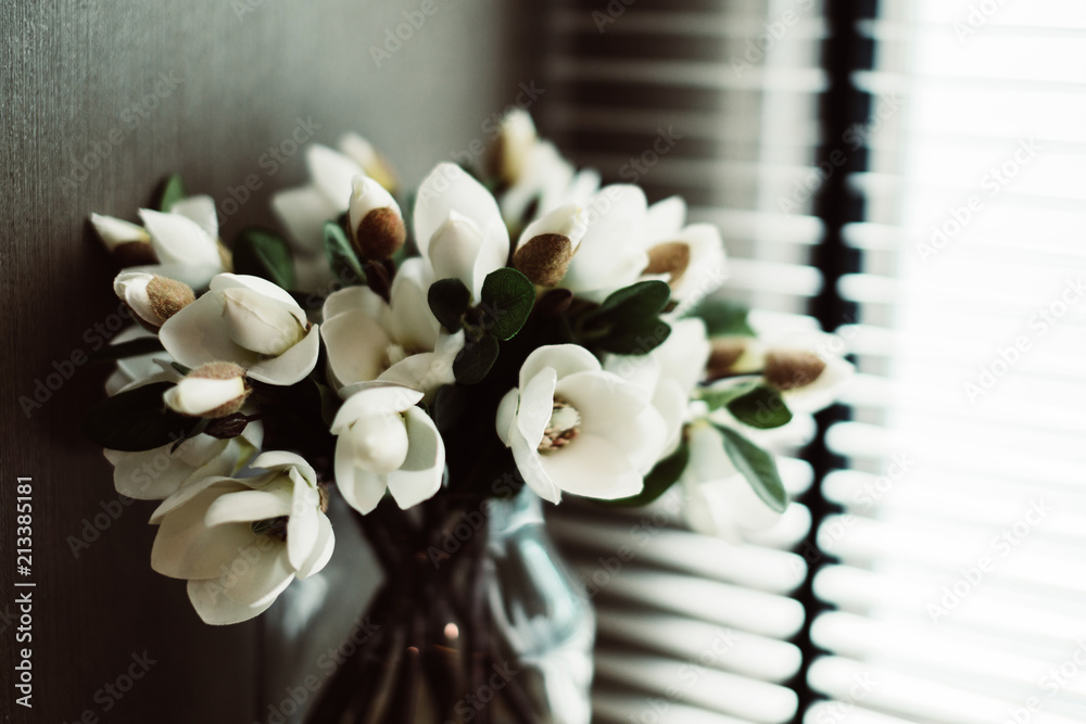 美丽的白色花瓶和百叶窗背景