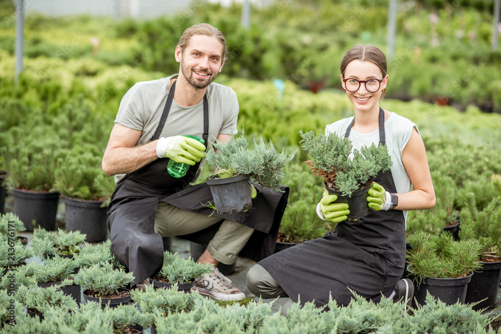 穿着制服的年轻工人夫妇在植物店的温室里照顾植物