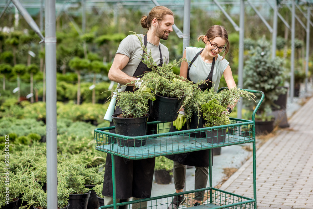 一群穿着制服的工人把待售的植物放在温室的购物车上