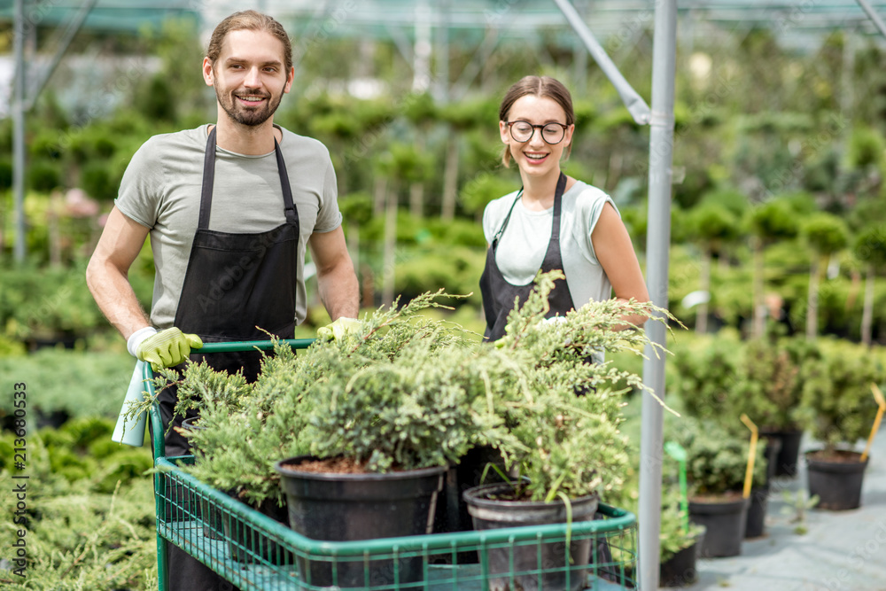 穿着制服的工人与装满温室里绿色植物的购物车的肖像