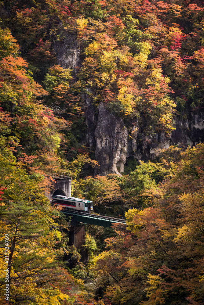 Rikuu line at Naruko gorge in autumn