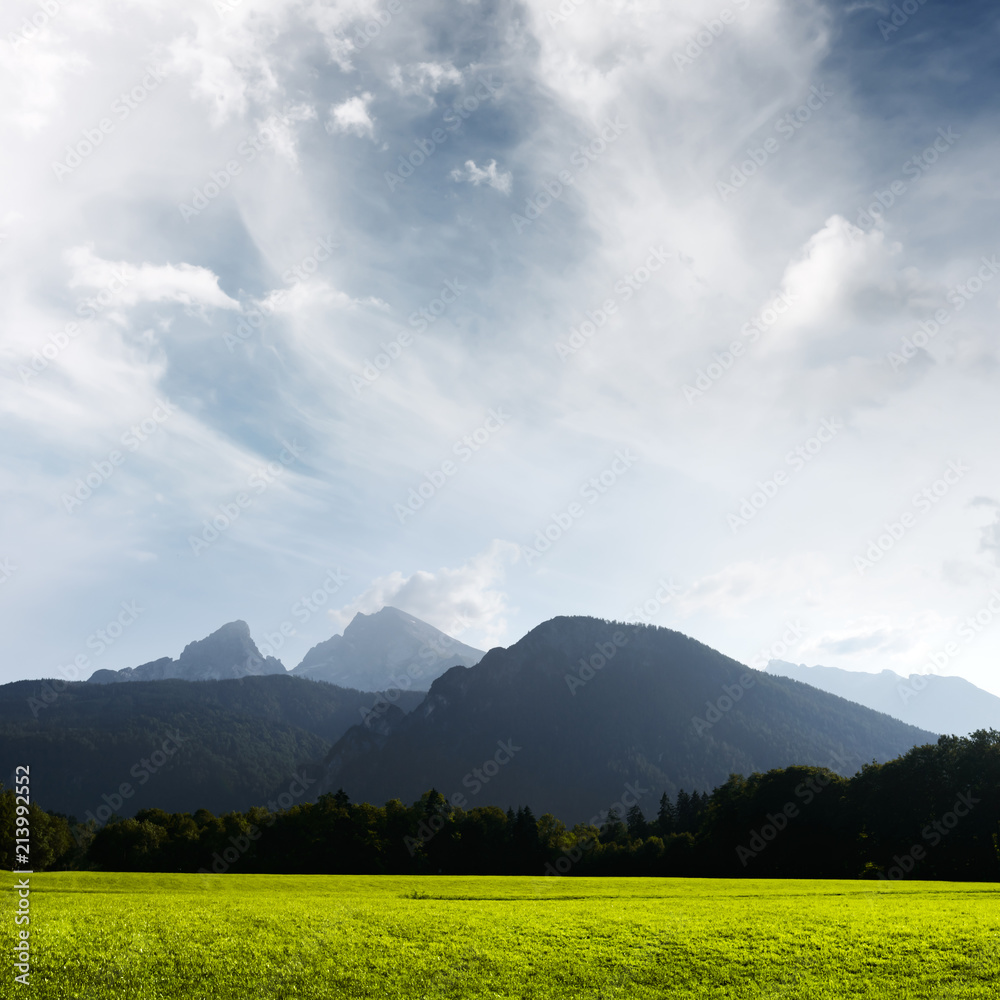 欧洲德国阿尔卑斯山的绿色草地和高山美景