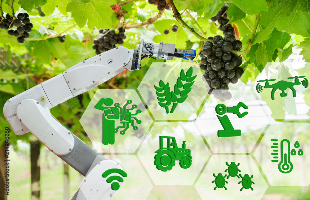 农业机器人辅助收割葡萄，用3d图标分析葡萄生长，智能农场