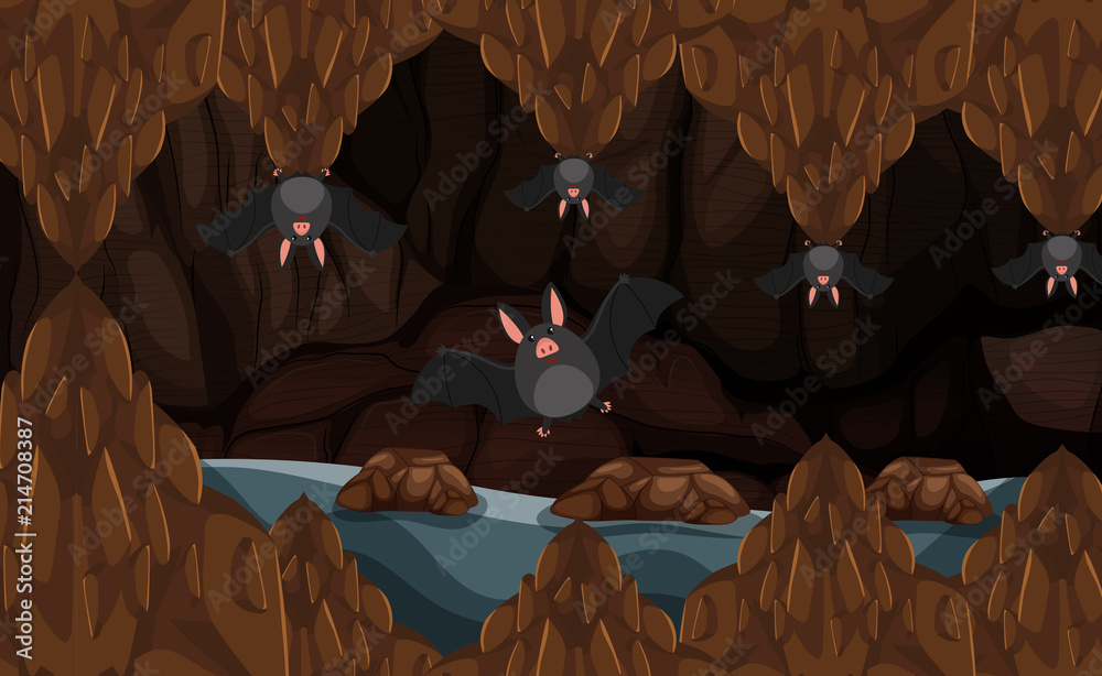 有蝙蝠的地下洞穴