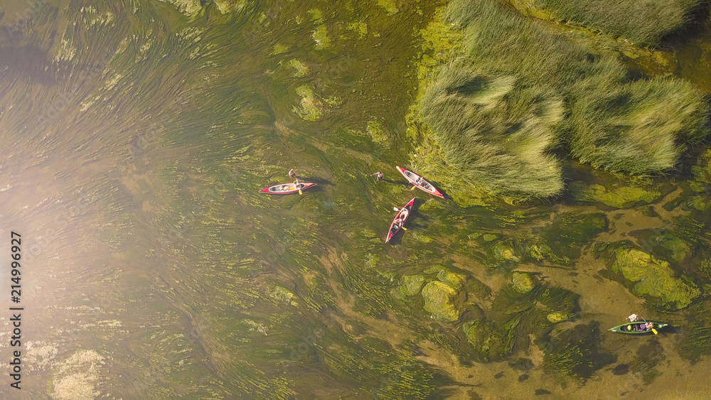 AERIAL：乘坐皮划艇飞过一群困在沼泽中的游客。