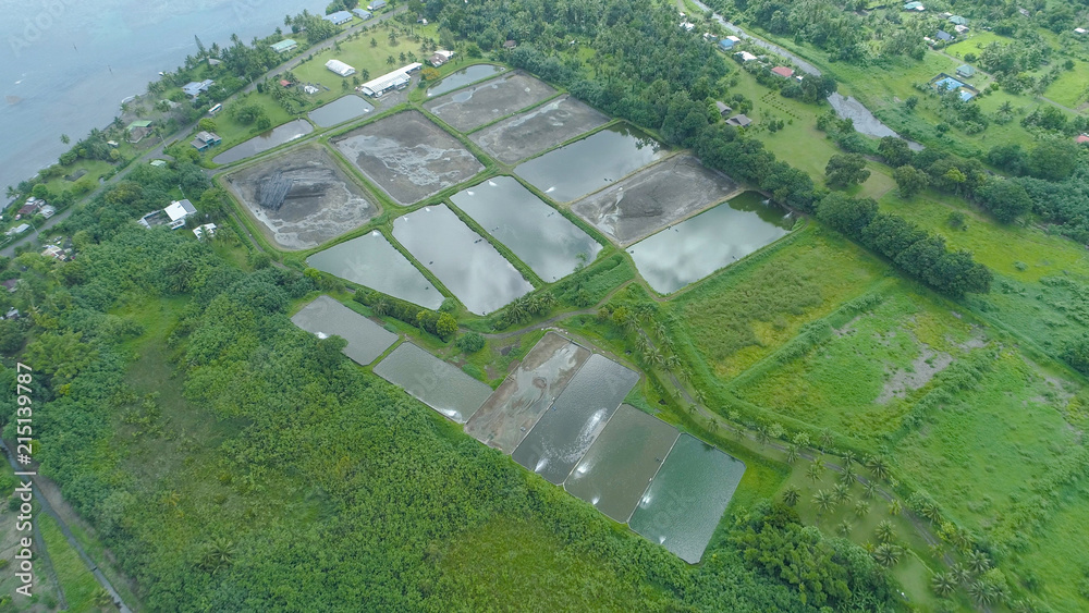 空中：飞过一个安静的热带岛屿上的大型淡水虾养殖场。