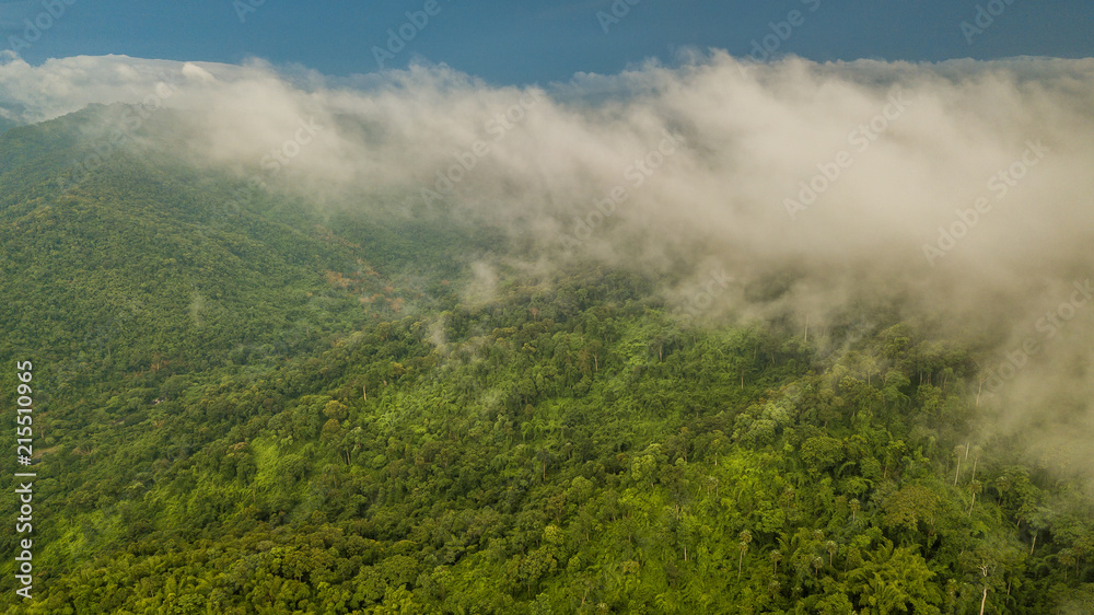 鸟瞰热带雨林，热带雨林景观中雾蒙蒙的山脉。