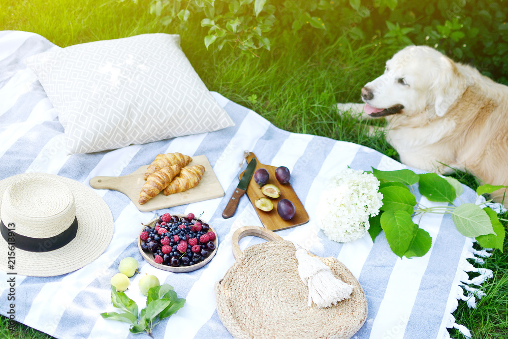 与金毛猎犬拉布拉多家庭野餐Instagram风格美食水果烘焙浆果绿色Gra