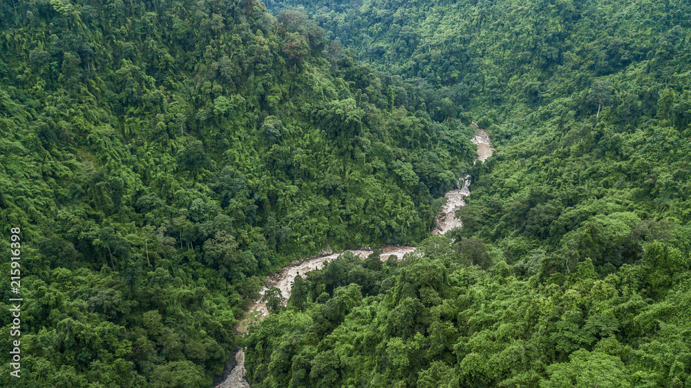 鸟瞰森林中的河流，热带雨林中的河流。