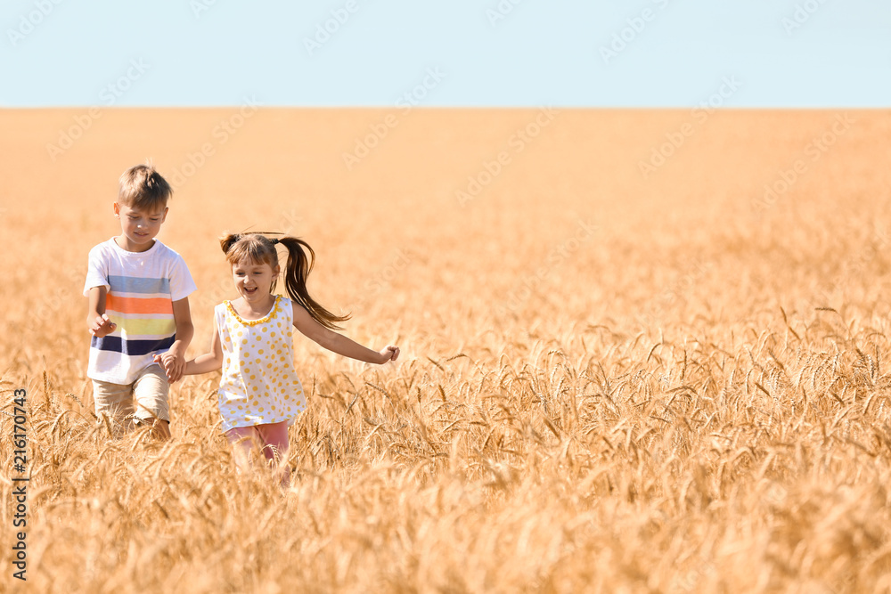 可爱的小孩在夏天的麦田里奔跑