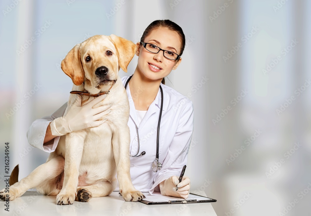 美丽的年轻兽医和一条狗