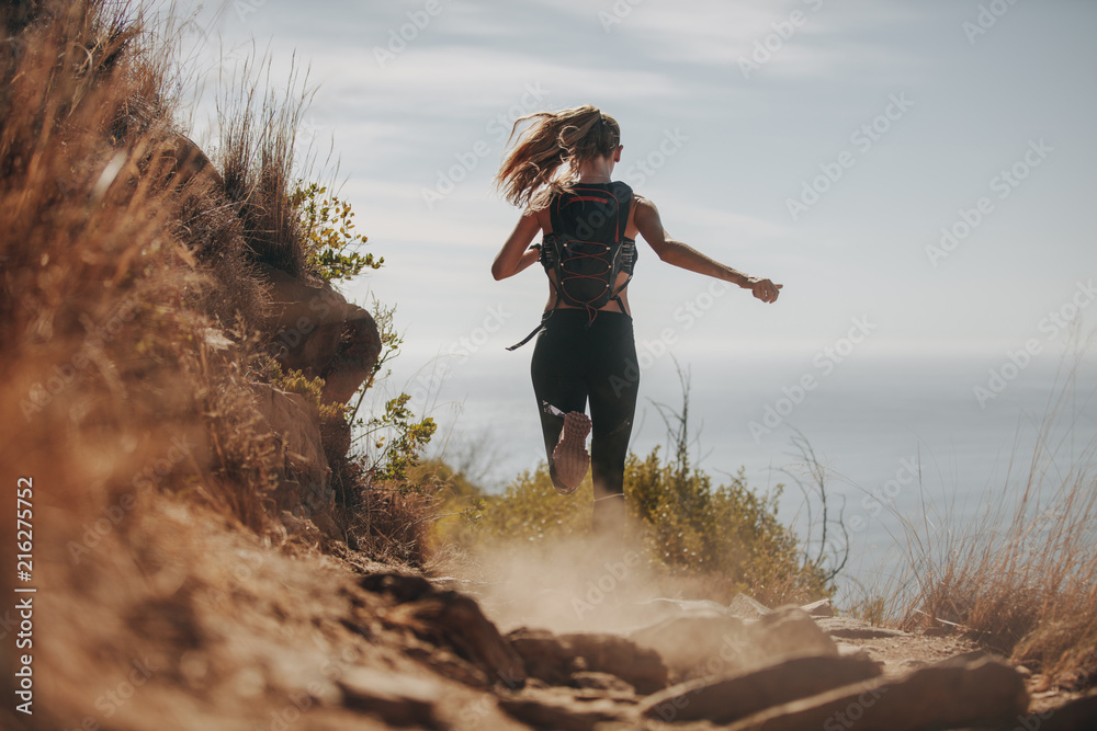 雌性在山坡上的岩石小径上奔跑。