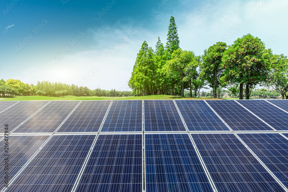 太阳能电池板和树木自然风光，绿色能源理念