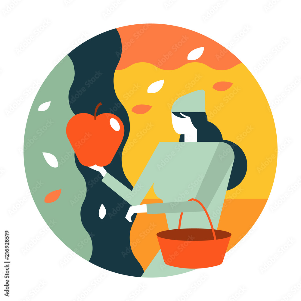Woman picking apples in the garden. Autumn scenery and activity. flat  icon design illustration vect