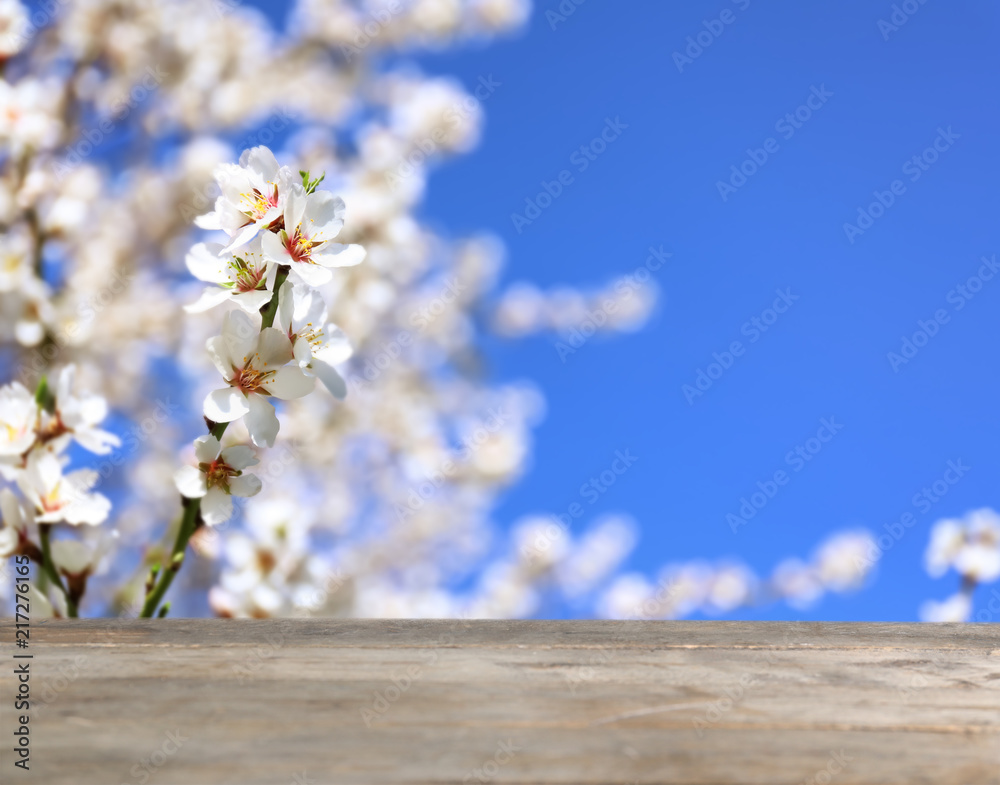 背景上有美丽的开花树枝的空木桌