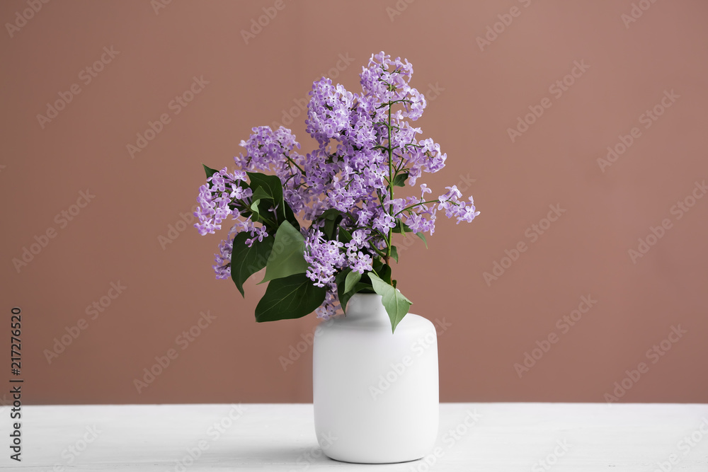 在彩色背景下，桌子上摆放着美丽的淡紫色花瓶