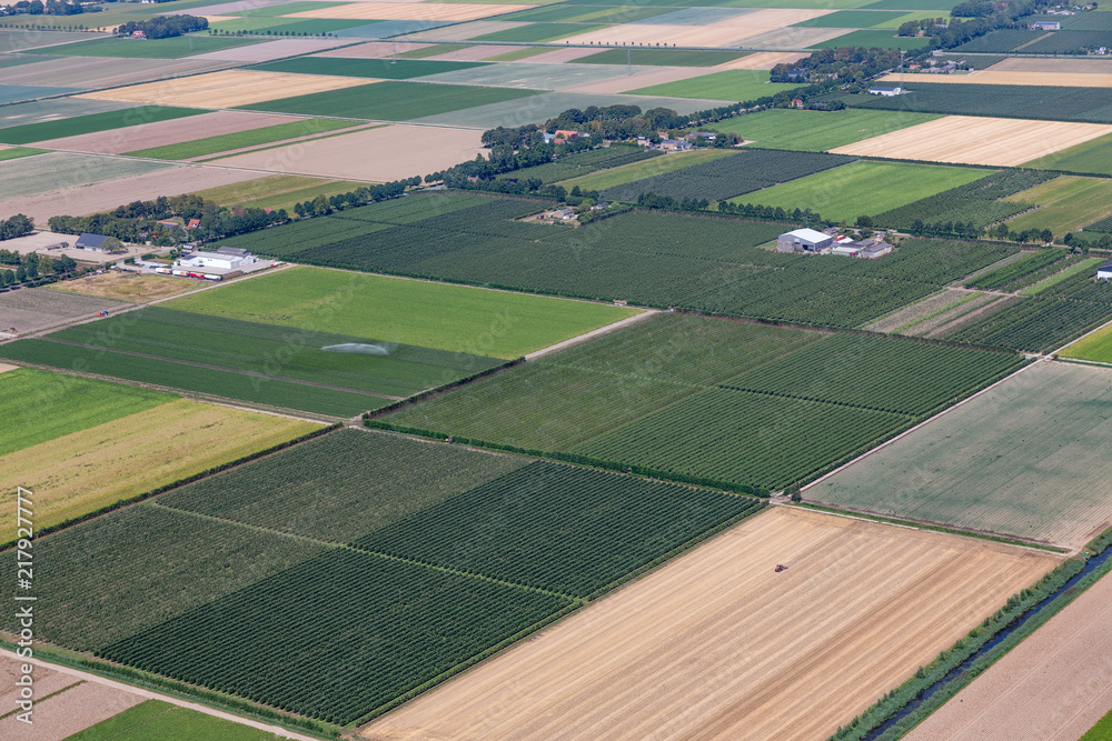 鸟瞰荷兰围场Noordoostprode，带农舍和农业景观