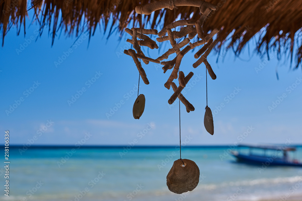 挂在绳子上的贝壳装饰。在热带海滩上挂贝壳装饰