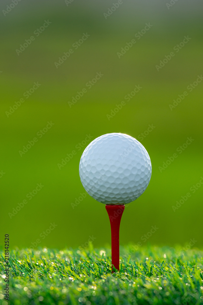 将高尔夫球放在发球杆上，准备在绿色背景下比赛