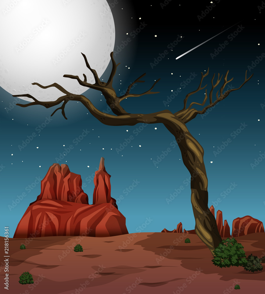 夜间沙漠景观