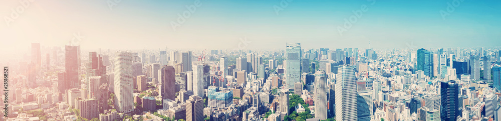 从空中俯瞰日本东京的全景。拥有许多现代商业建筑的城市景观
