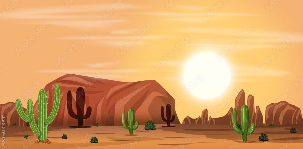 炎热的沙漠景观