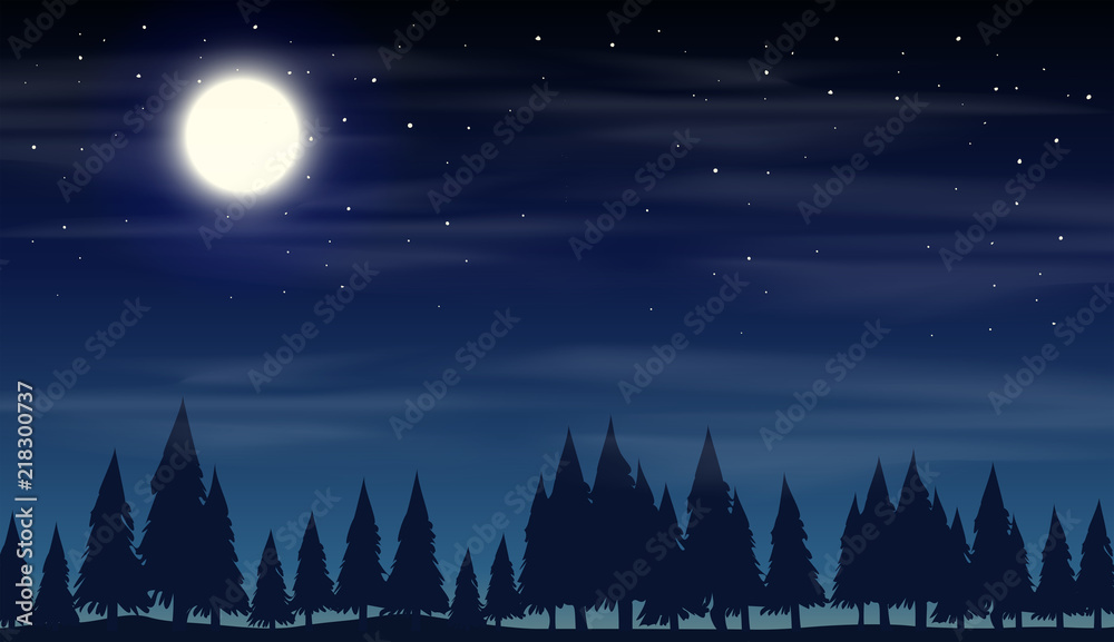 侧影树林的夜景