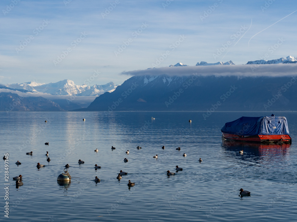 阳光明媚的冬季湖泊，有蓝天、船只和鸟类。夏末的日内瓦湖或莱曼湖和