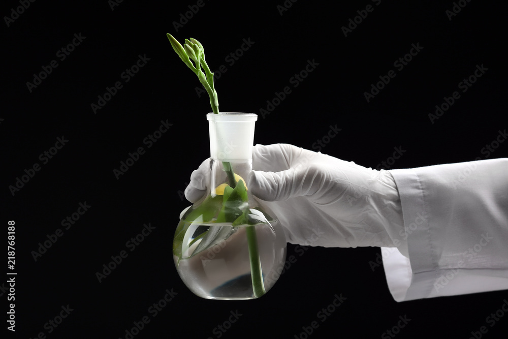 科学家拿着装有深色背景植物的测试烧瓶