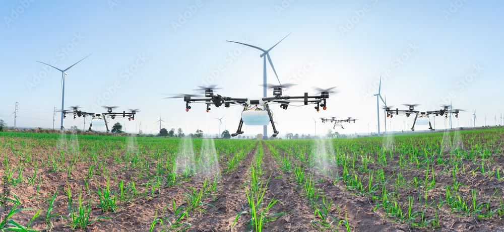 农业无人机飞到甘蔗地全景施肥，智能农场4.0概念