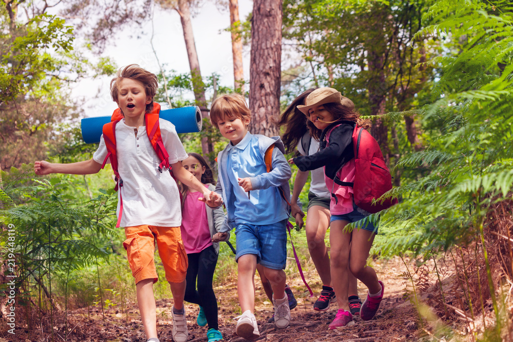 一群孩子在森林小径上快速奔跑