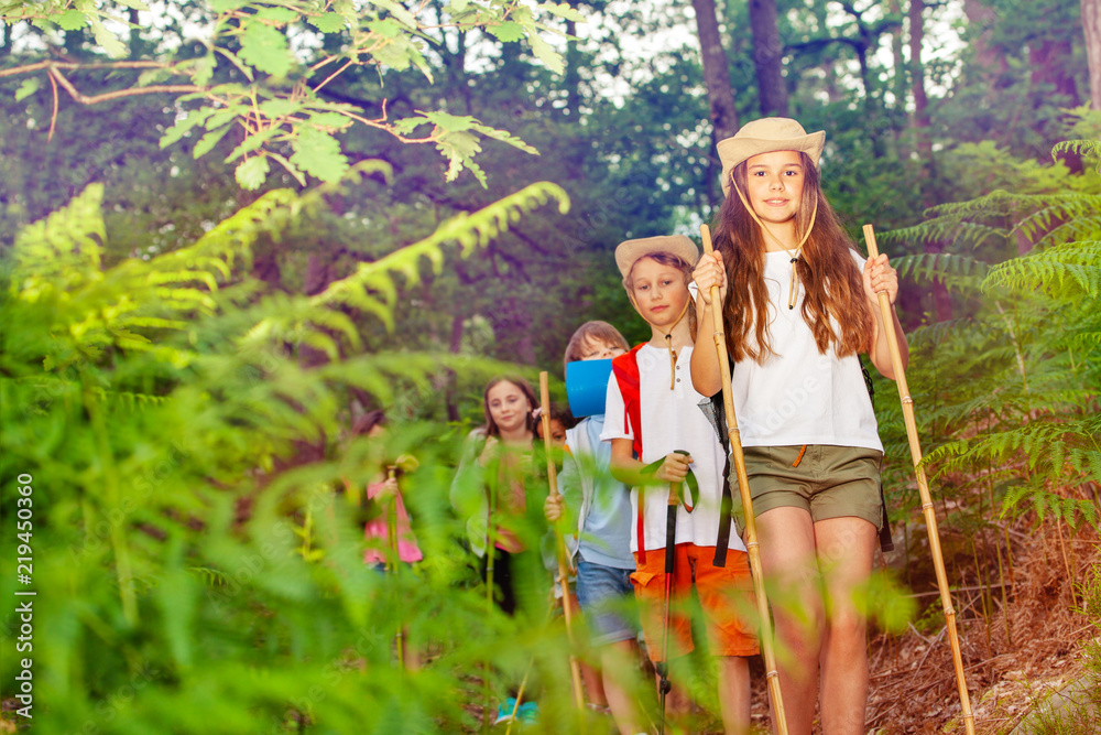 Group of kids on a hiking trail in the forest