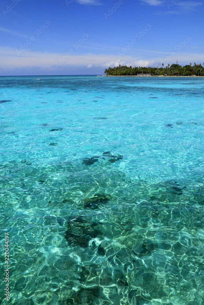 热带岛屿和碧绿的海水景观